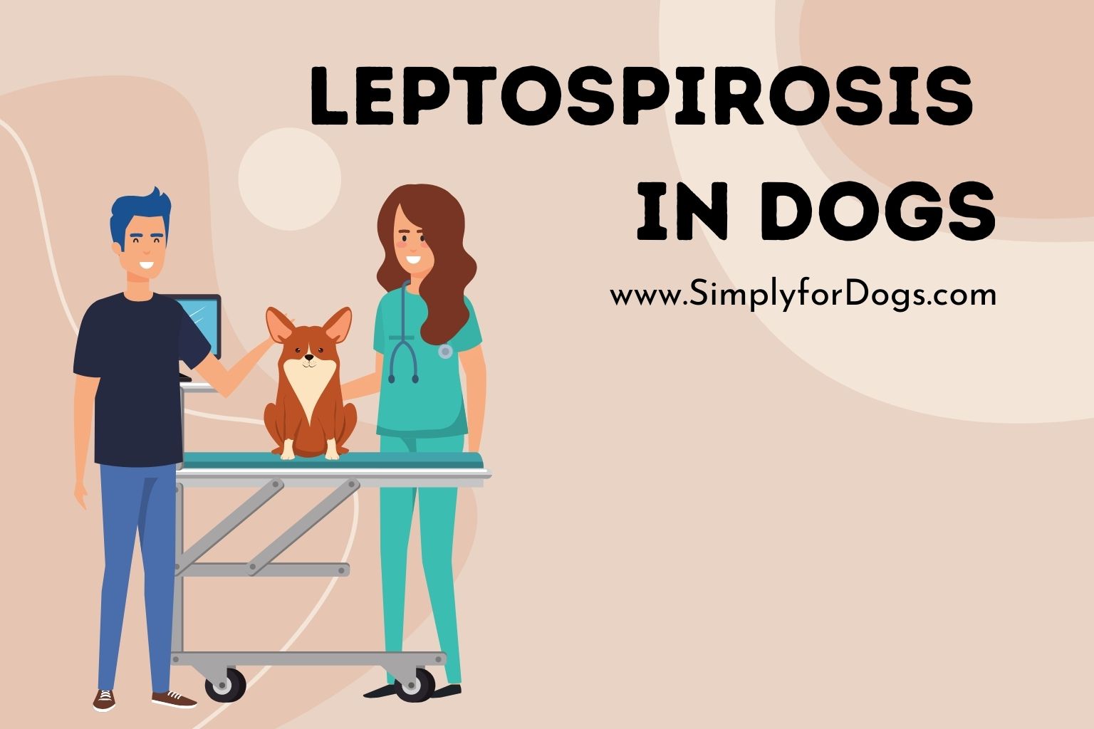 Leptospirosis in Dogs