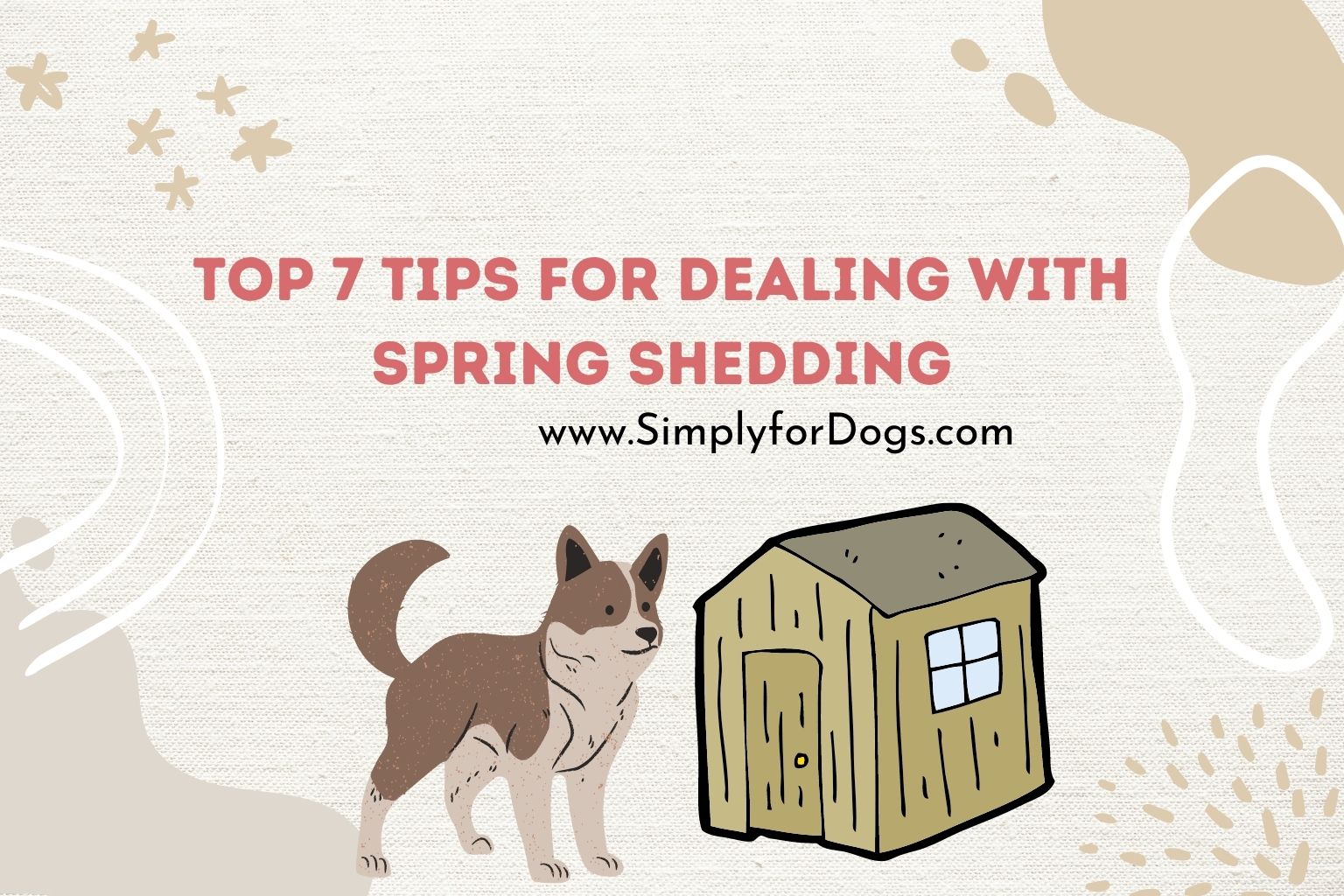 Top 7 Tips for Dealing with Spring Shedding