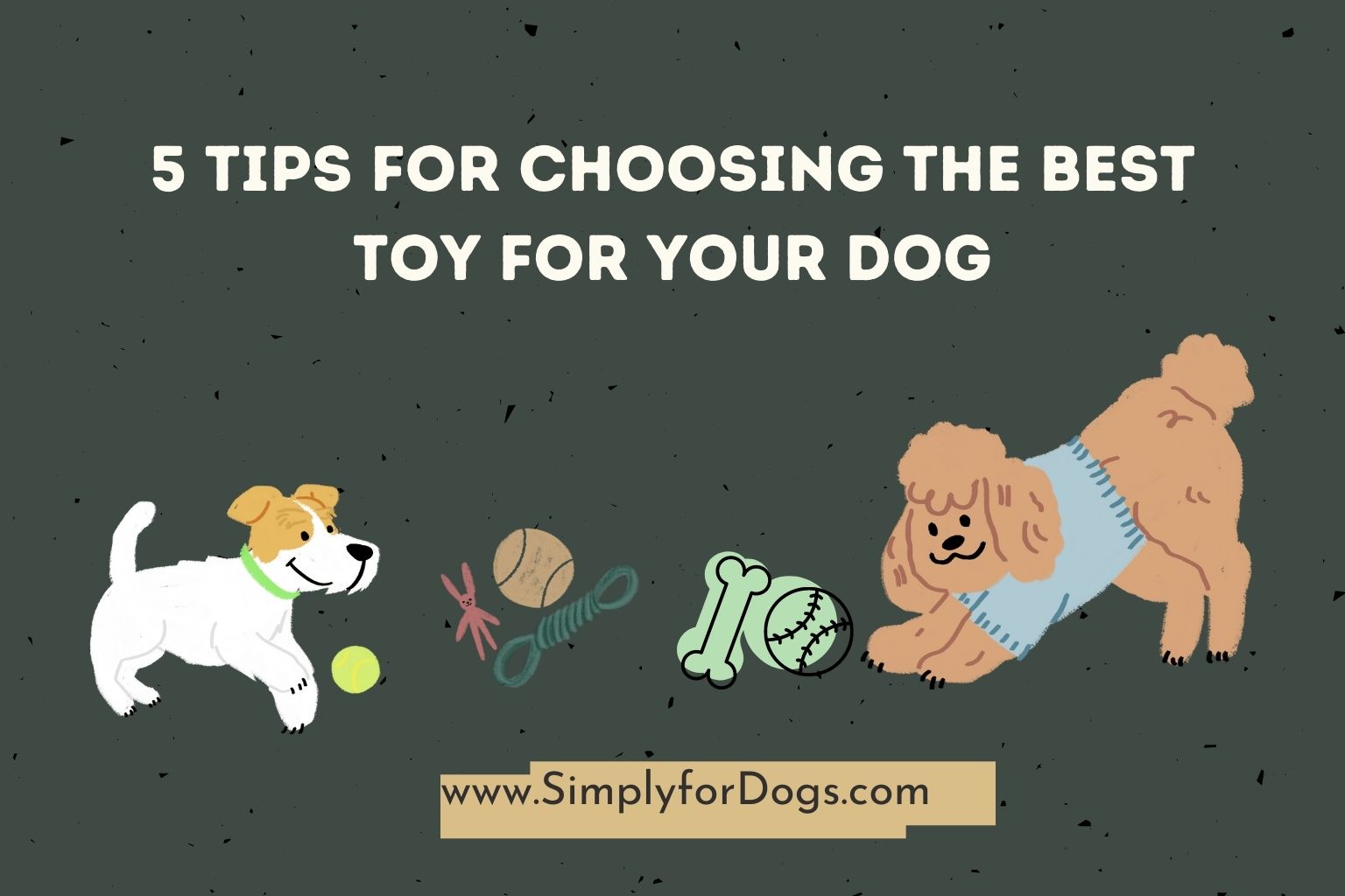 5 Tips for Choosing the Best Toy for Your Dog