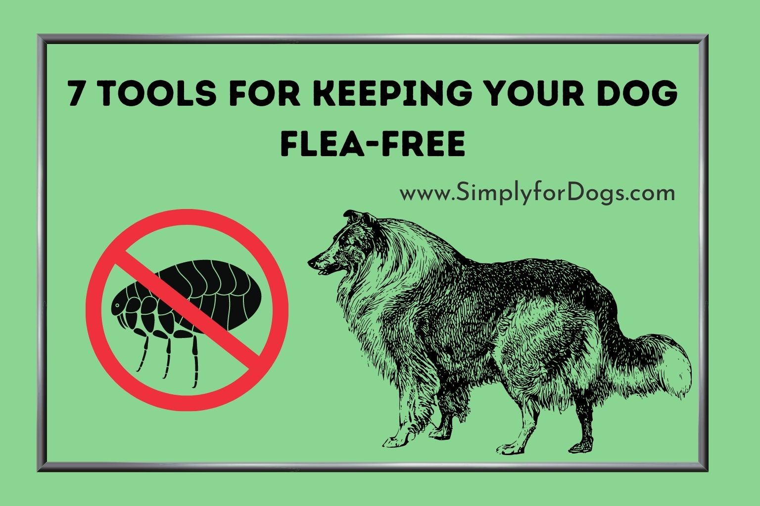 7 Tools for Keeping Your Dog Flea-Free