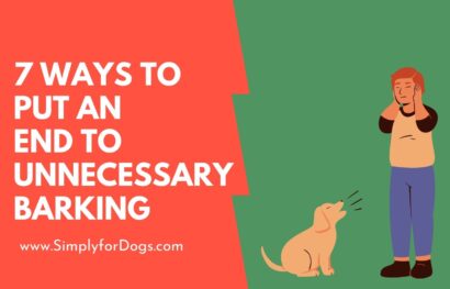 7 Ways to Put an End to Unnecessary Barking