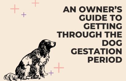 An Owner’s Guide to Getting Through the Dog Gestation Period