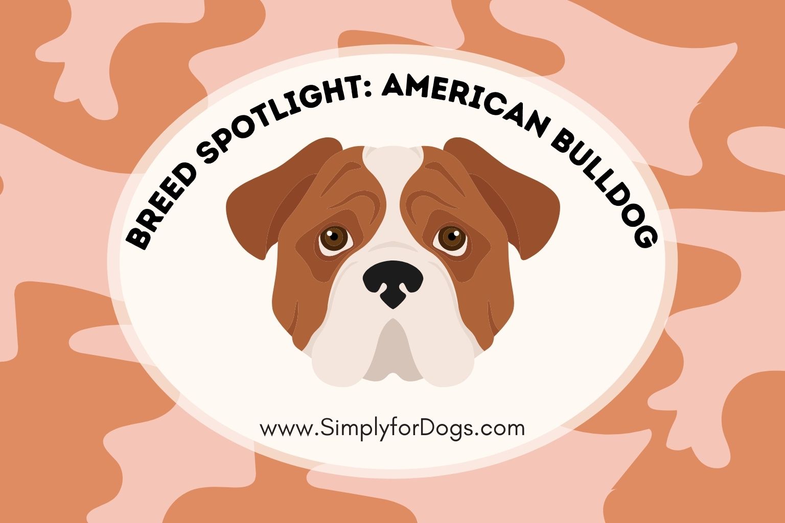 Breed Spotlight_ American Bulldog