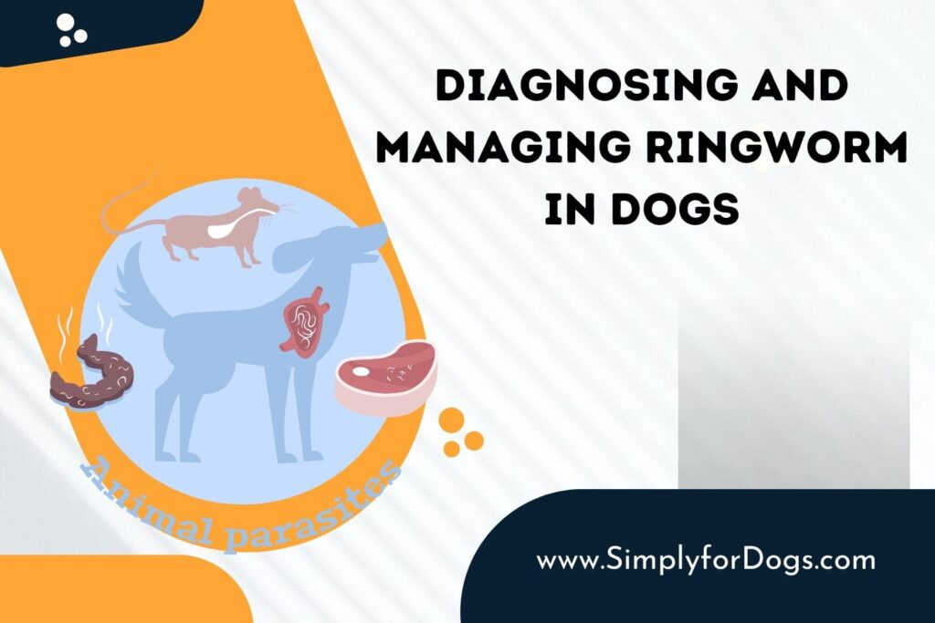 diagnosing-and-managing-ringworm-in-dogs-full-treatment-guide