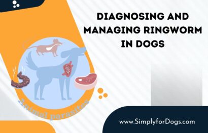 Diagnosing and Managing Ringworm in Dogs