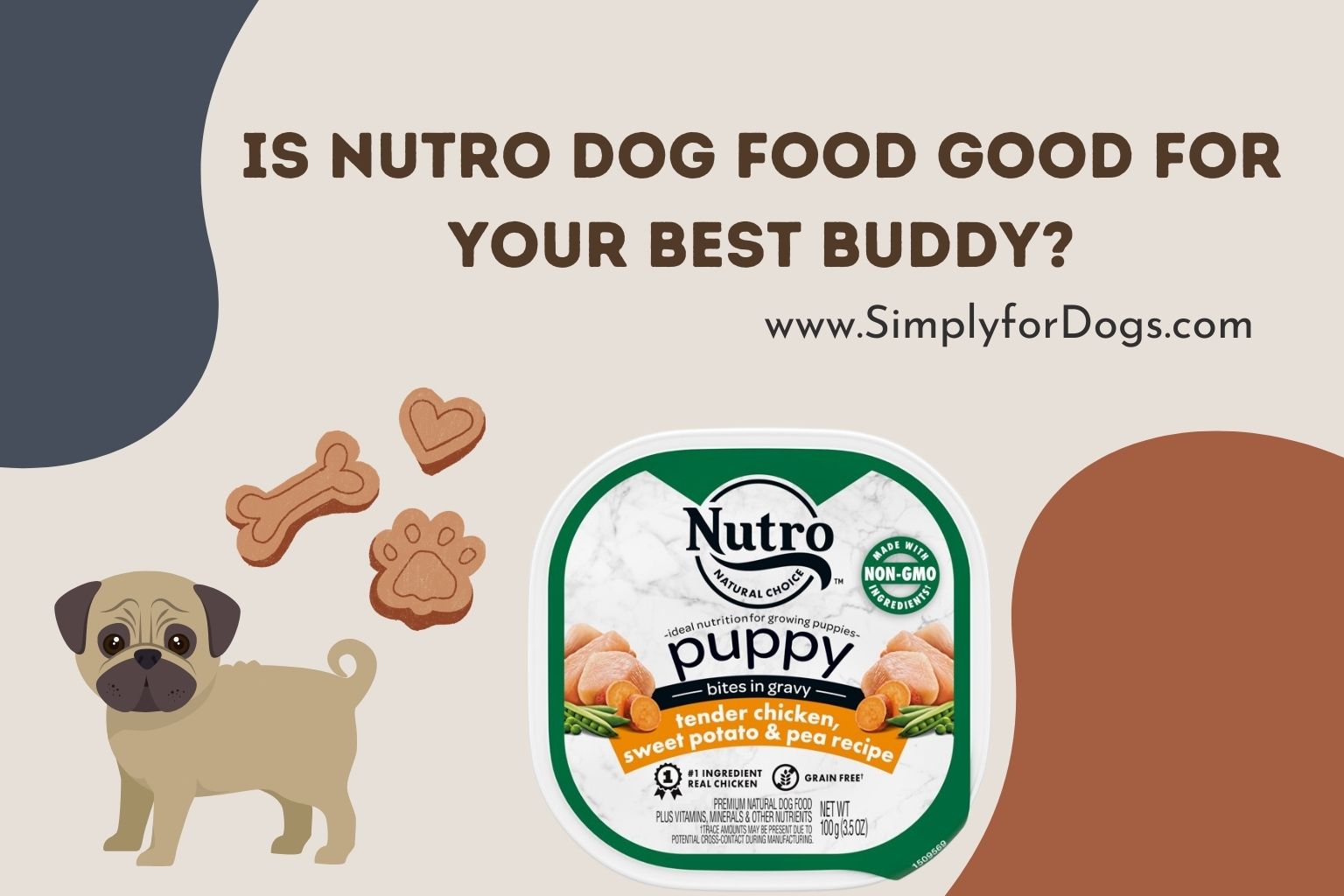 Nutro dog outlet food allergies