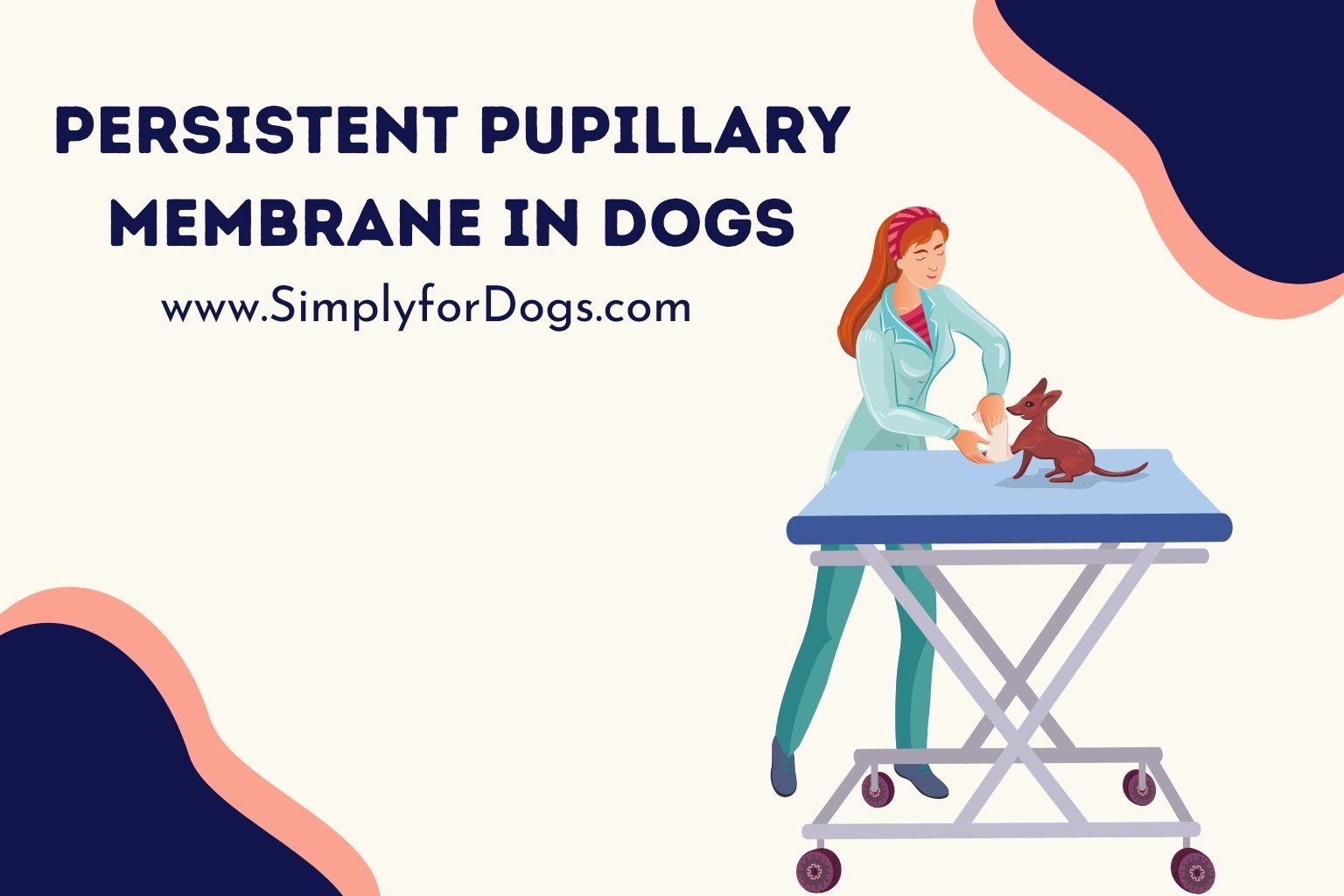 Persistent Pupillary Membrane in Dogs