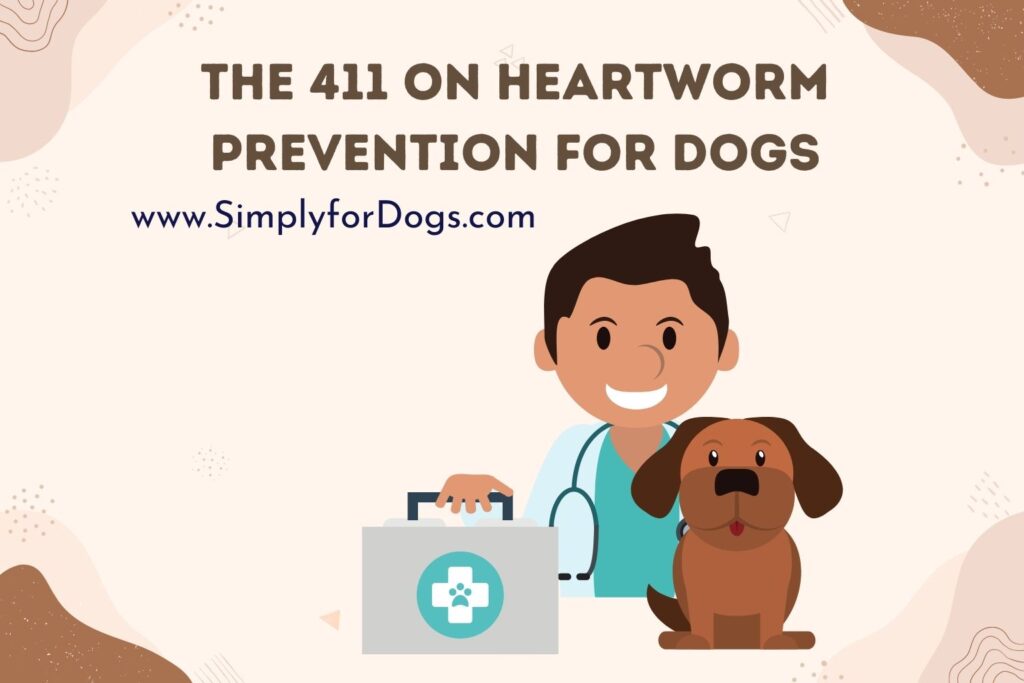 The 411 on Heartworm Prevention for Dogs (Does It Work?) Simply For Dogs