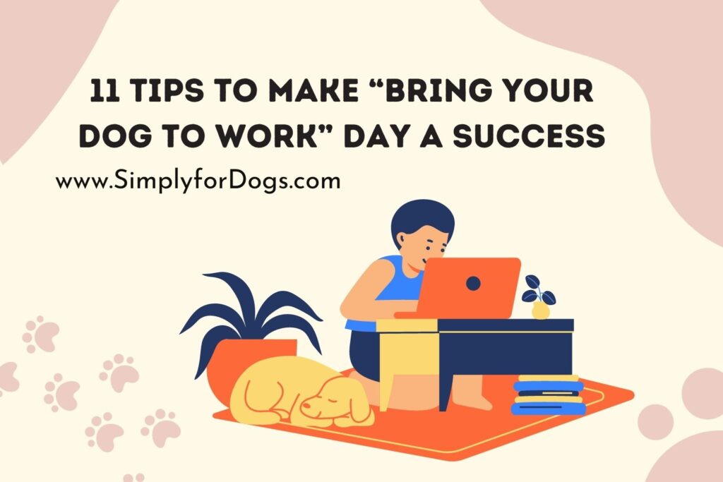 bring-dog-to-work-archives-simply-for-dogs
