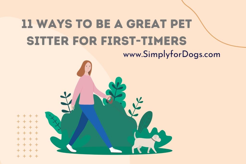 11 Ways to Be a Great Pet Sitter for FirstTimers (Effective Tips