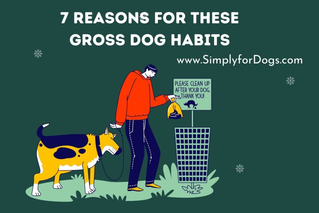 7 Reasons for These Gross Dog Habits (How to Stop) Simply For Dogs
