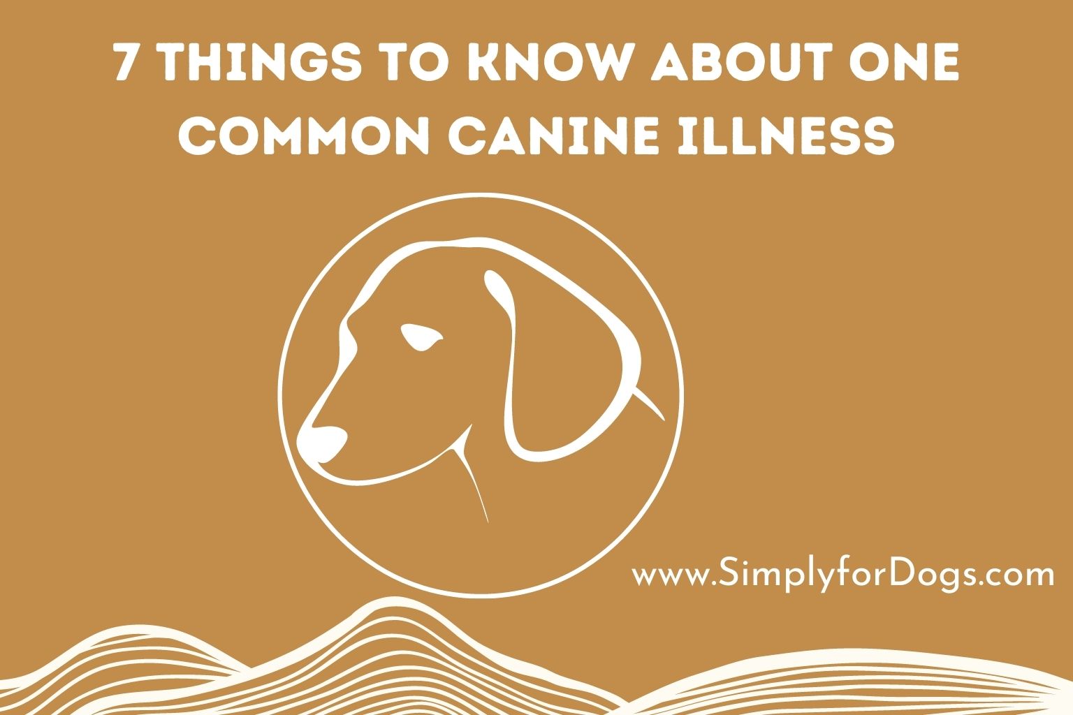 7 Things to Know About One Common Canine Illness (Easy Methods