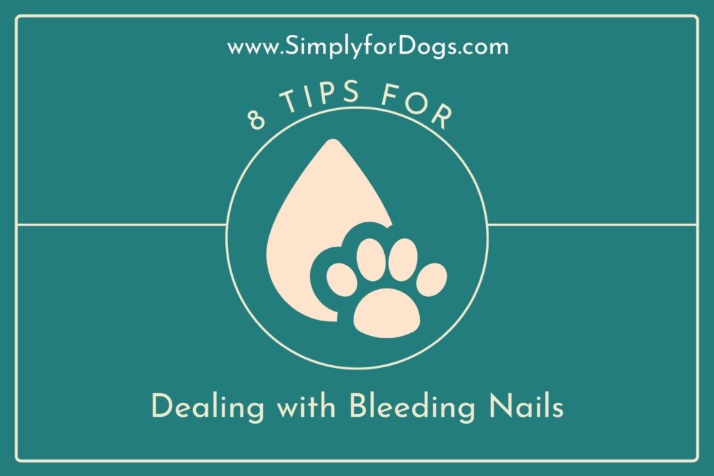 8 Tips for Dealing with Bleeding Nails (Time to Stop) Simply For Dogs