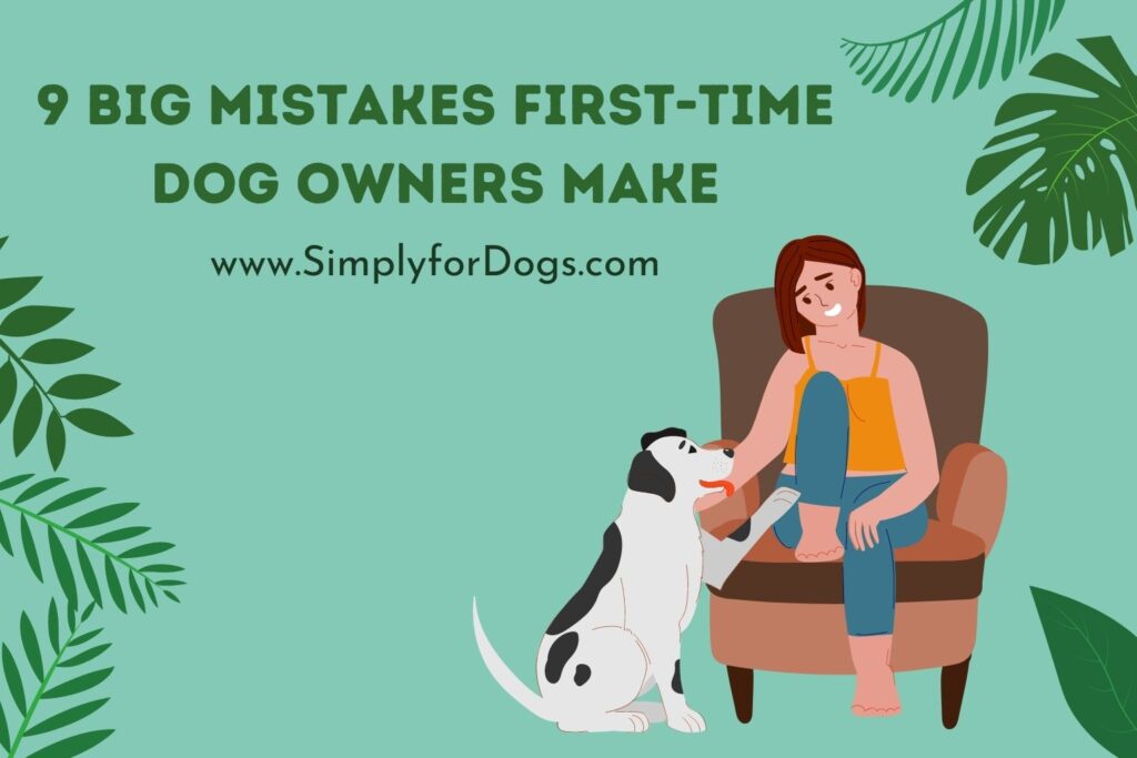 9 Big Mistakes FirstTime Dog Owners Make (Learn Before Pet) Simply