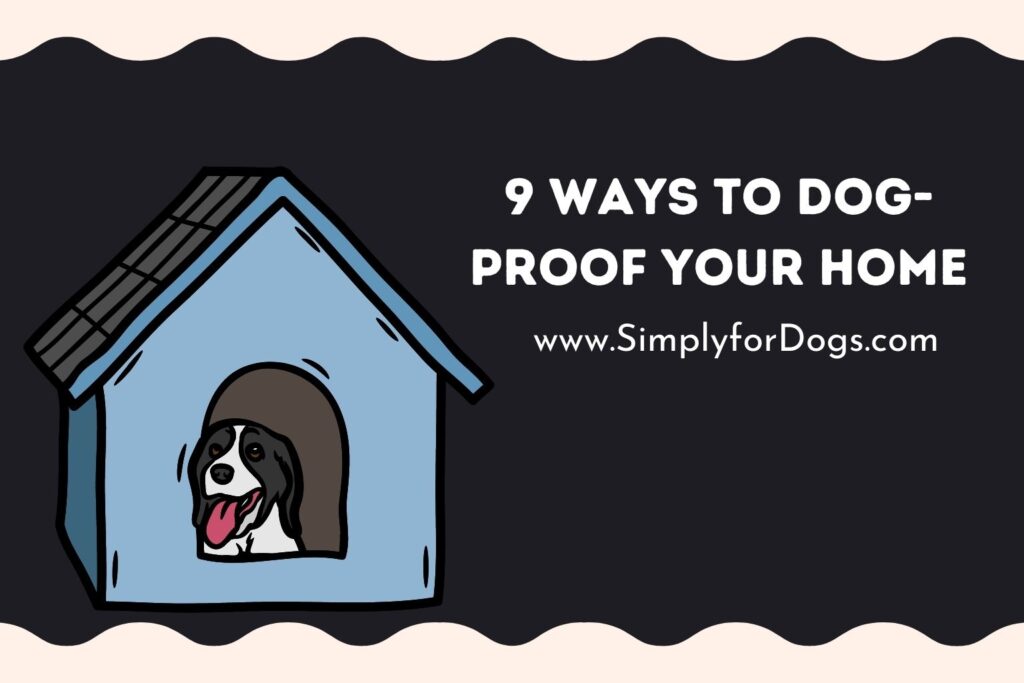 9 Ways to Dog-Proof Your Home (Kind Steps) - Simply For Dogs