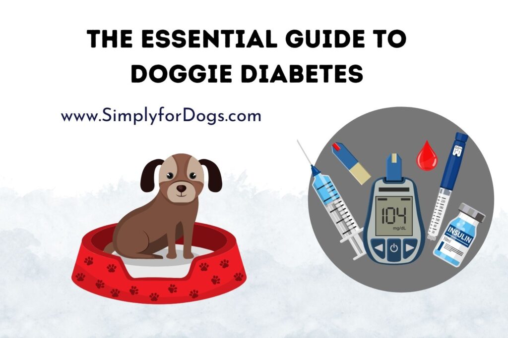 The Essential Guide to Doggie Diabetes (Symptoms and Care) Simply For