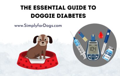 The Essential Guide to Doggie Diabetes