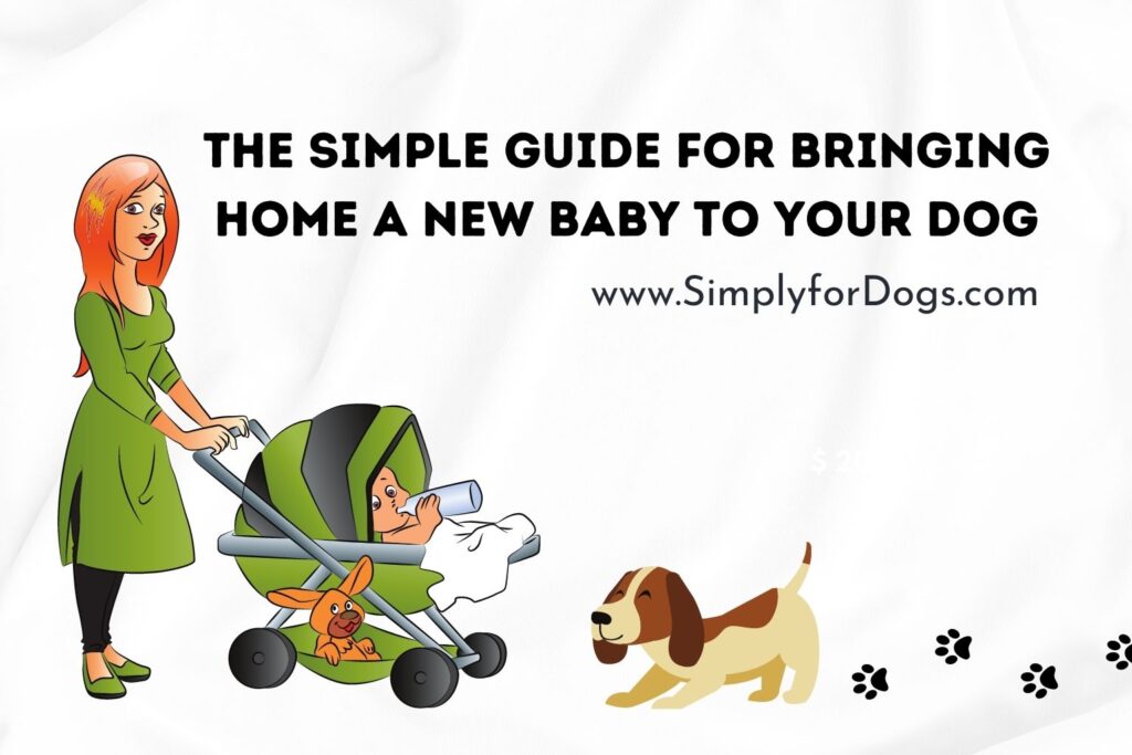 new-baby-guide-to-dog-safe-steps-simply-for-dogs