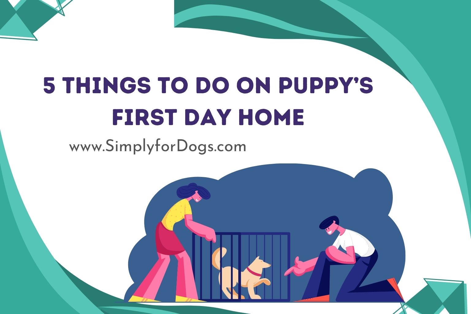 5 Things to Do On Puppy’s First Day Home