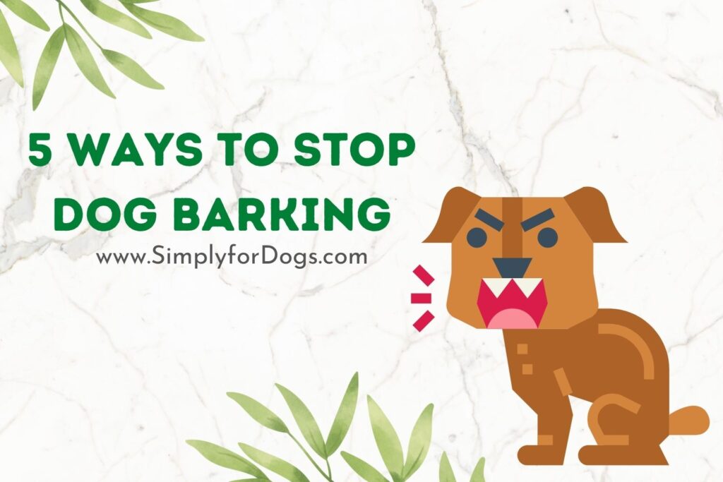 Ways to Stop Dog Barking (Bark Rules) Simply For Dogs