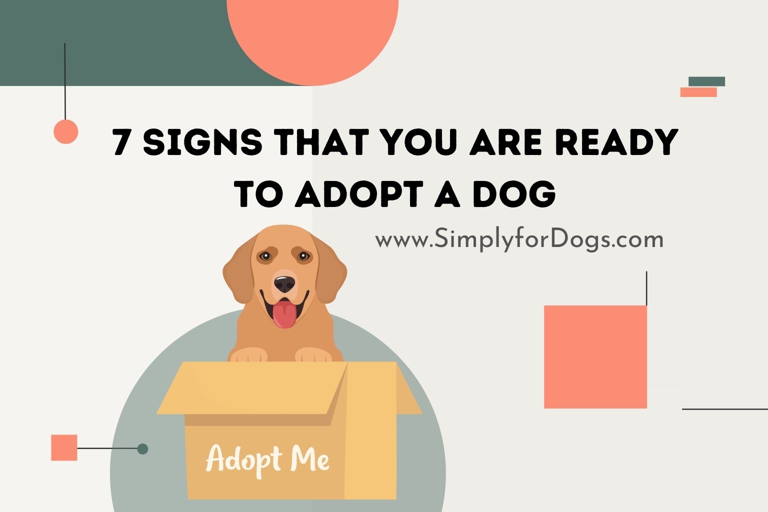 7 Signs That You Are Ready to Adopt a Dog