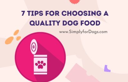 7 Tips for Choosing a Quality Dog Food