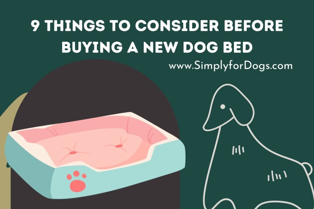 9 Things to Consider Before Buying a New Dog Bed (Know Before Buy