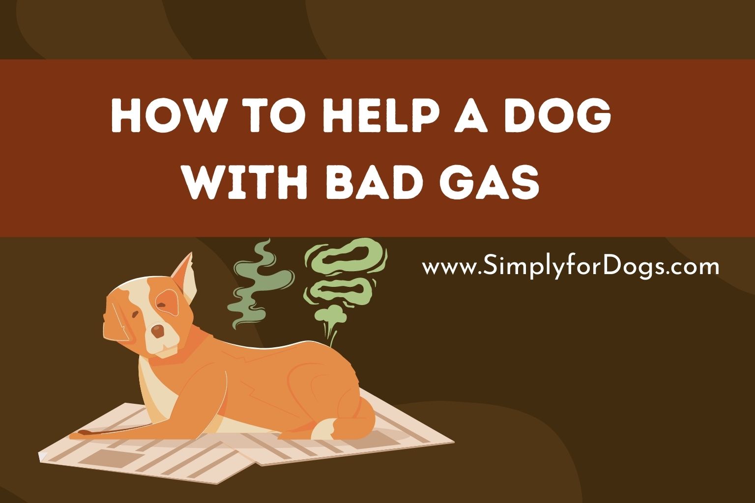 How to Help a Dog With Bad Gas (Fast Controlling Tips) Simply For Dogs