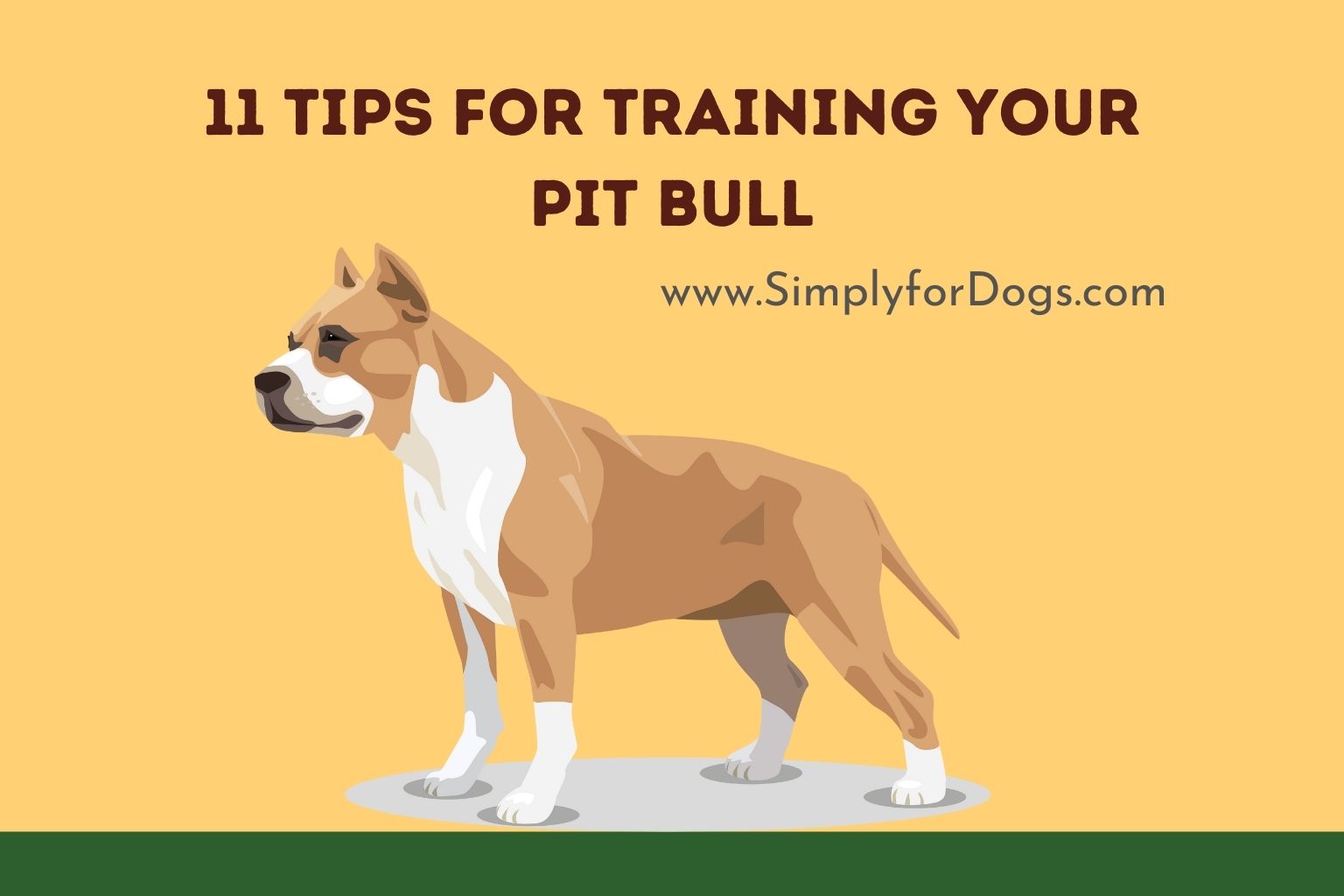 11 Tips for Training Your Pit Bull