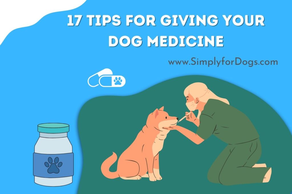 17 Tips for Giving Your Dog Medicine (By Dose and Time) Simply For Dogs