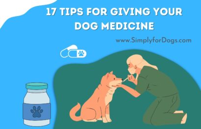 17 Tips for Giving Your Dog Medicine