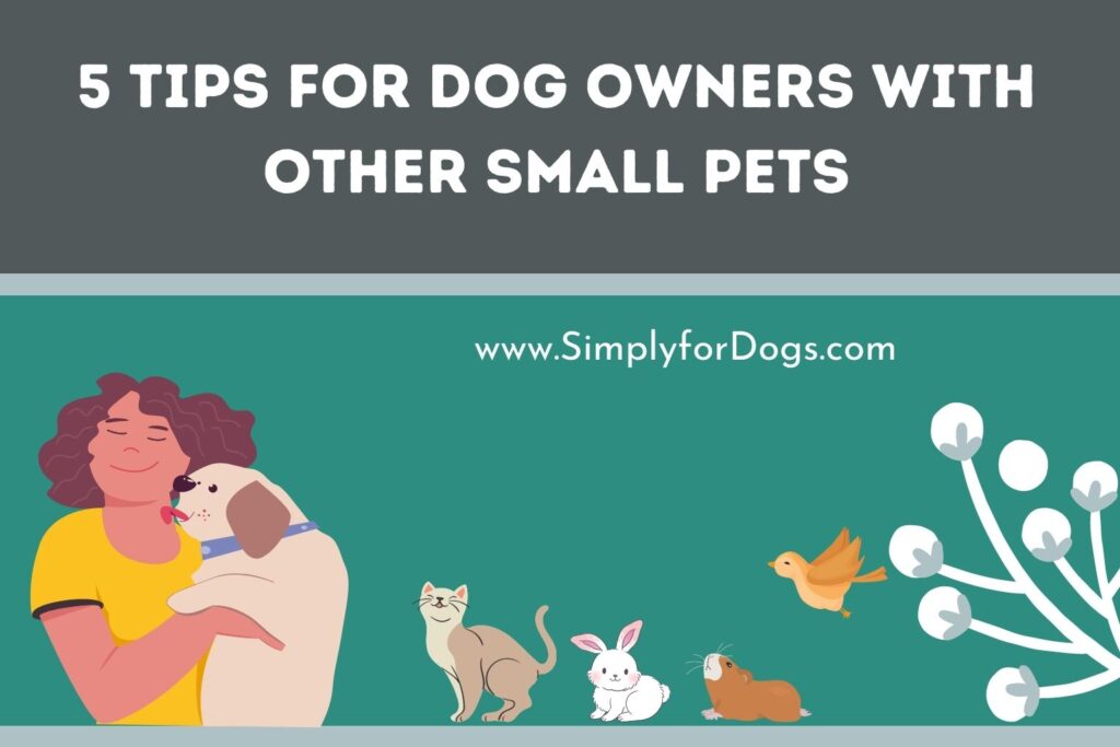 5 Tips for Dog Owners with Other Small Pets (Do's & Don'ts) Simply