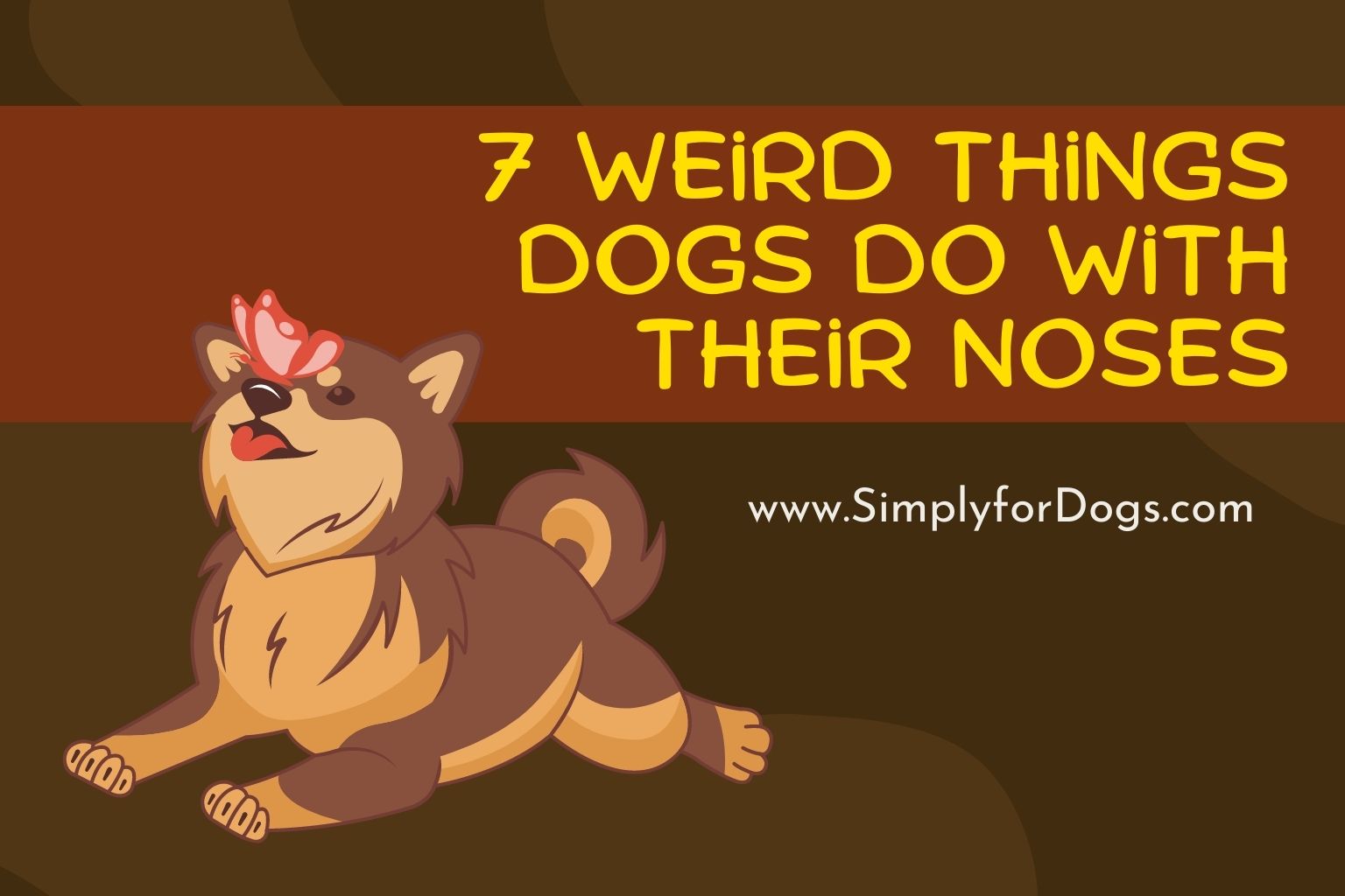 7 Weird Things Dogs Do With Their Noses