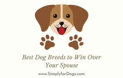 Best Dog Breeds to Win Over Your Spouse