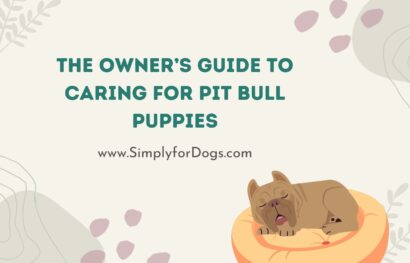 The Owner’s Guide to Caring for Pit Bull Puppies