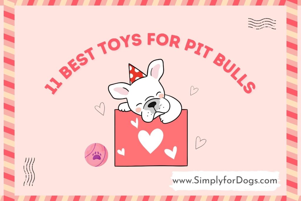 11 Best Toys for Pit Bulls (Are They Safe? Simply For Dogs