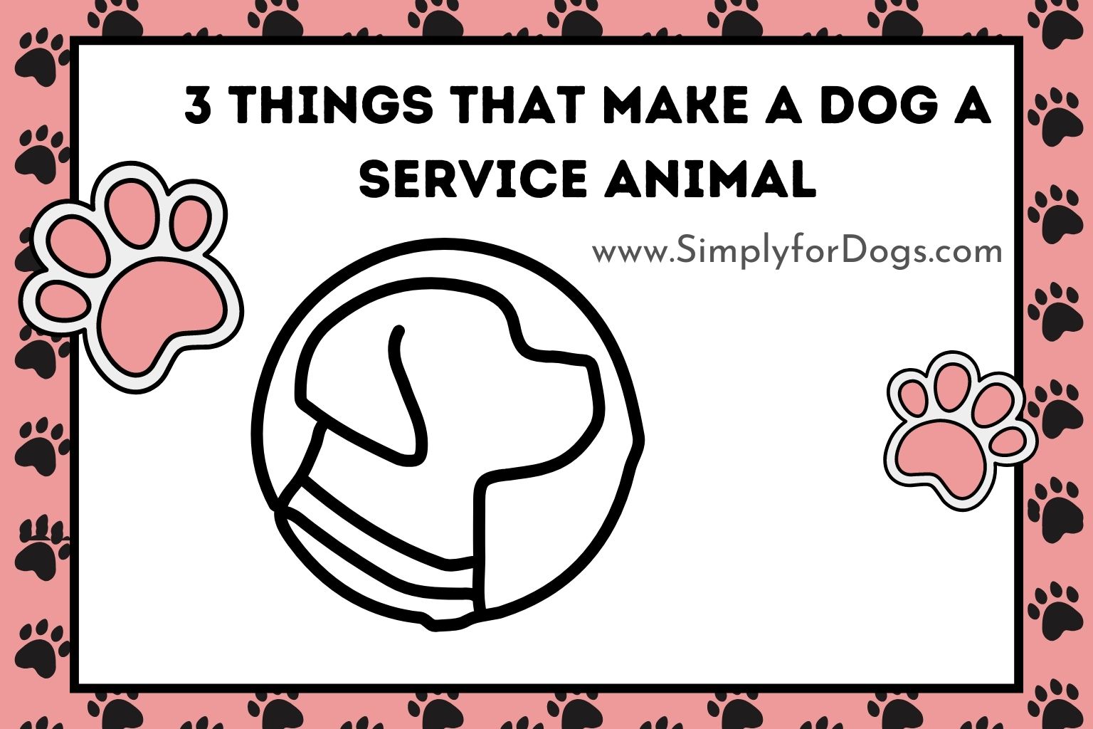 3 Things That Make a Dog a Service Animal