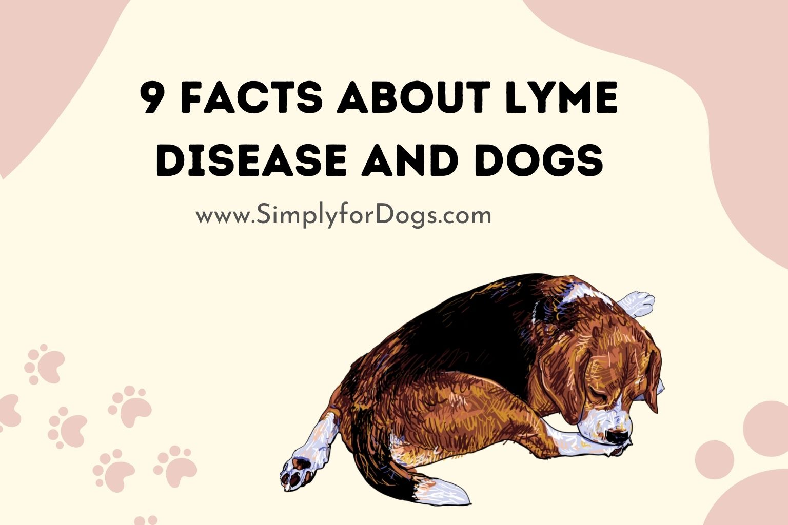 9 Facts About Lyme Disease and Dogs (Cure Tips) - Simply For Dogs