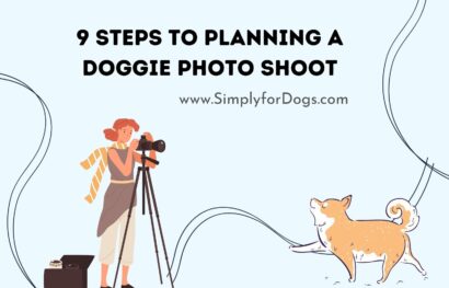 9 Steps to Planning a Doggie Photo Shoot