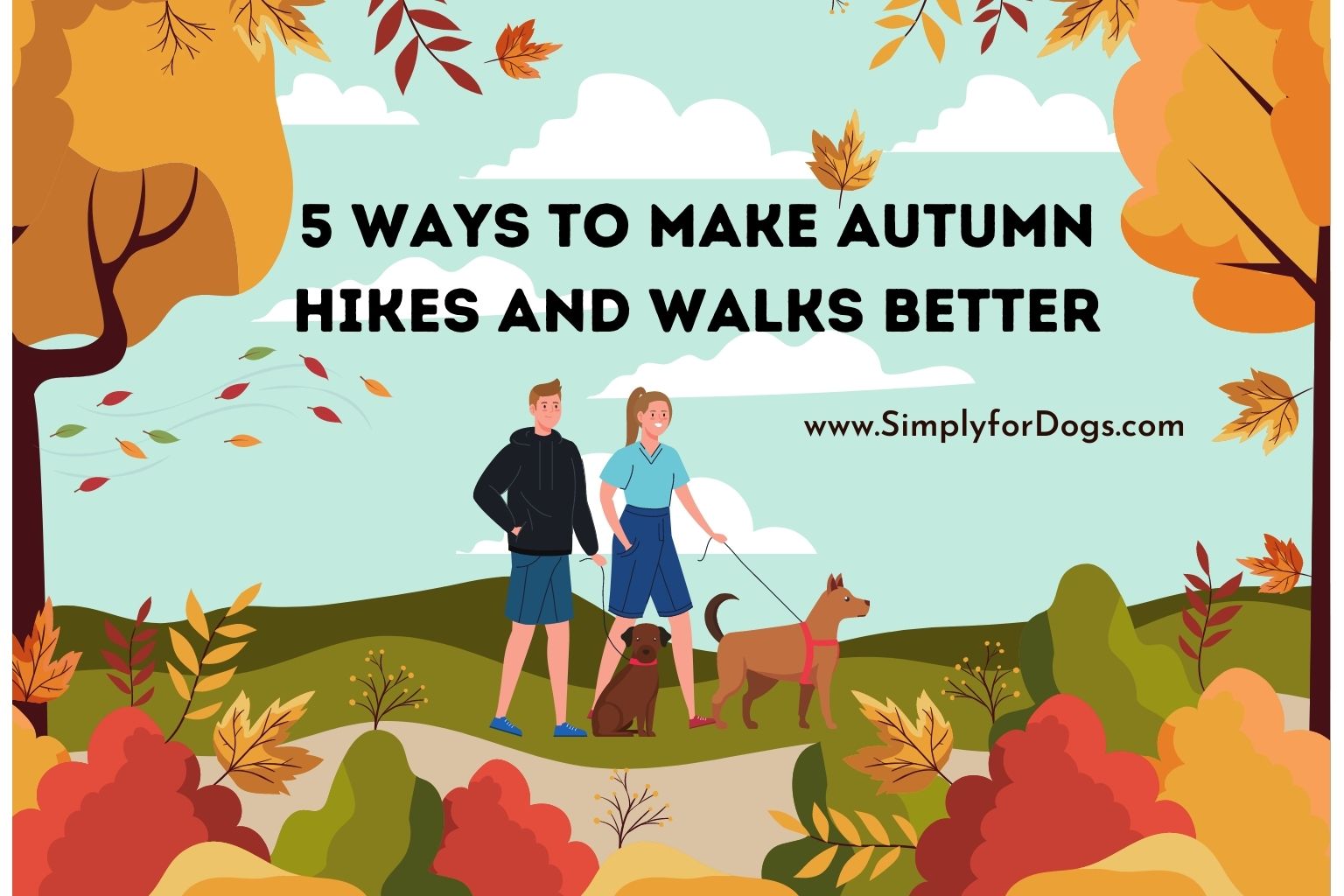 5 Ways to Make Autumn Hikes and Walks Better