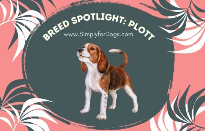 Breed Spotlight_ Plott