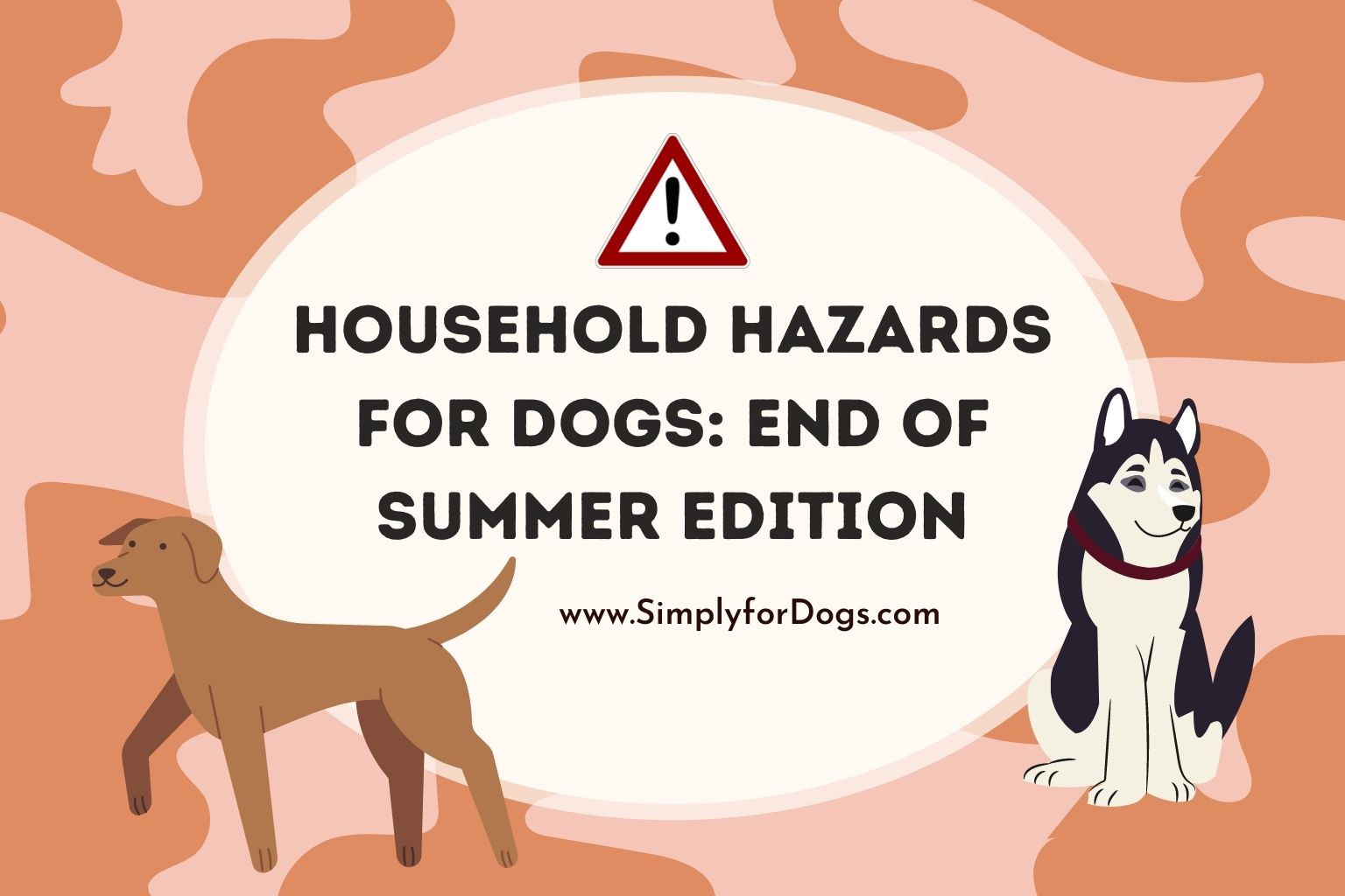 Household Hazards for Dogs (Pet Controlling Tips) - Simply For Dogs