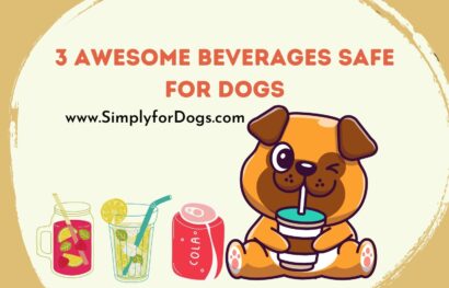 3 Awesome Beverages Safe for Dogs