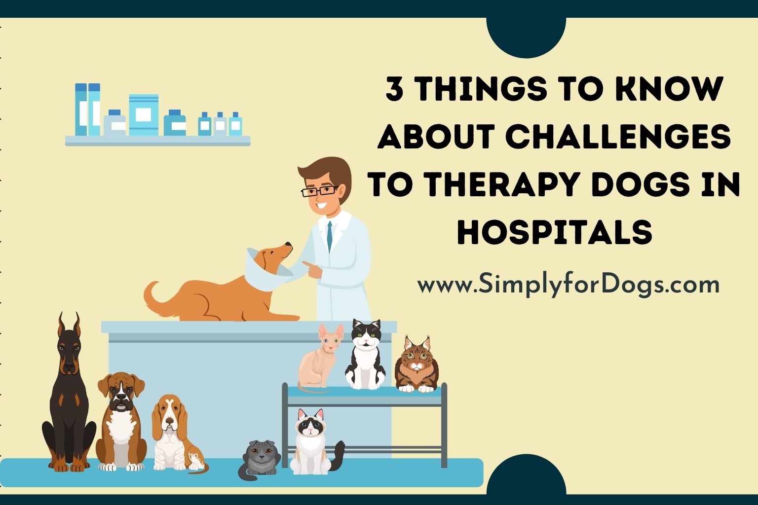 3 Things to Know about Challenges to Therapy Dogs in Hospitals