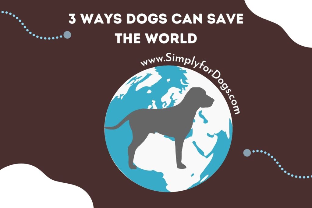 3 Ways Dogs Can Save the World (Surprising Truth) - Simply For Dogs