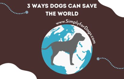 3 Ways Dogs Can Save the World