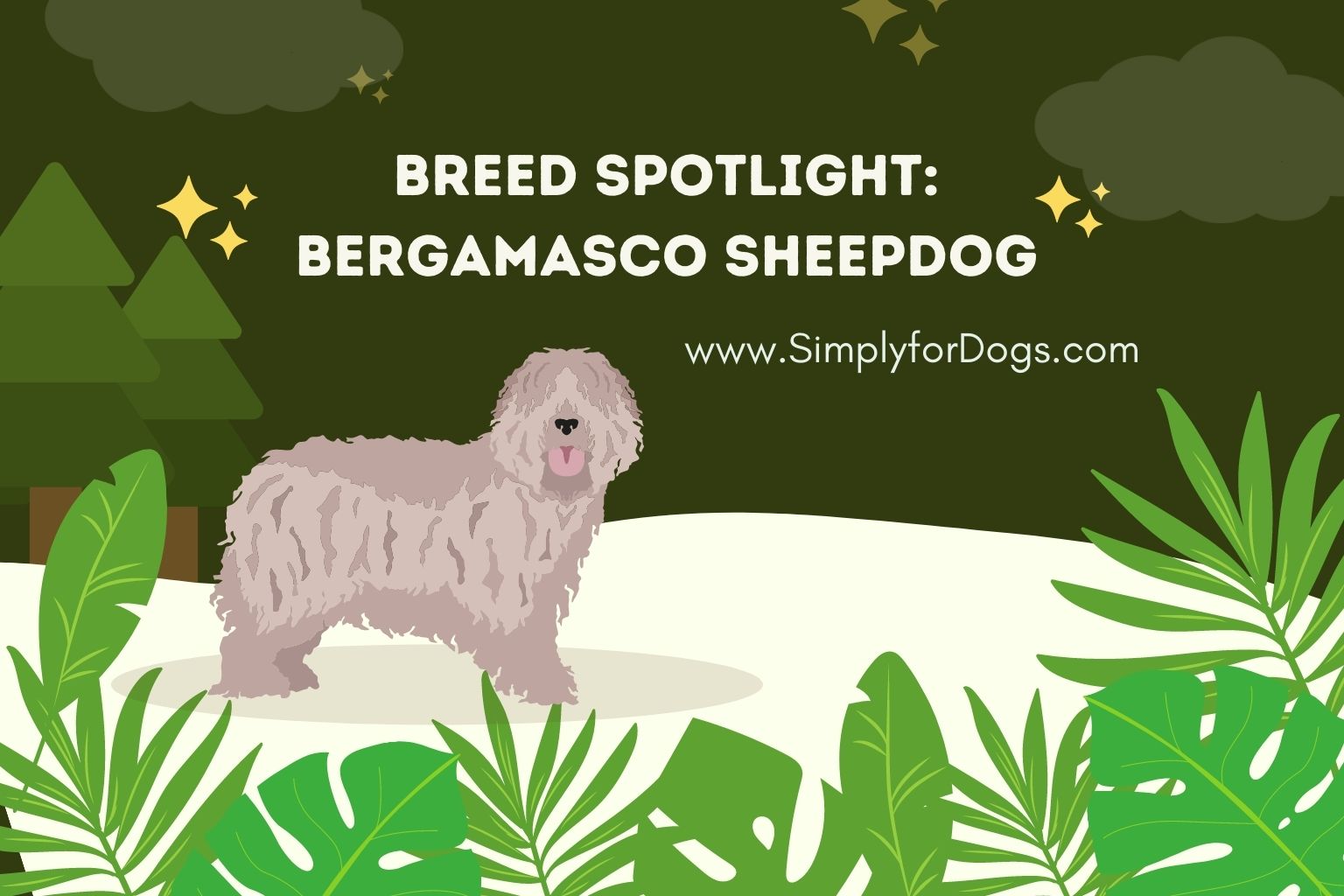 Breed Spotlight_ Bergamasco Sheepdog