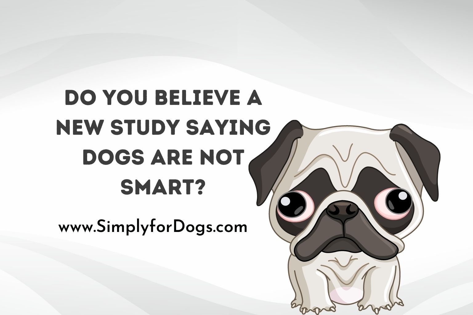 Do You Believe a New Study Saying Dogs Are Not Smart