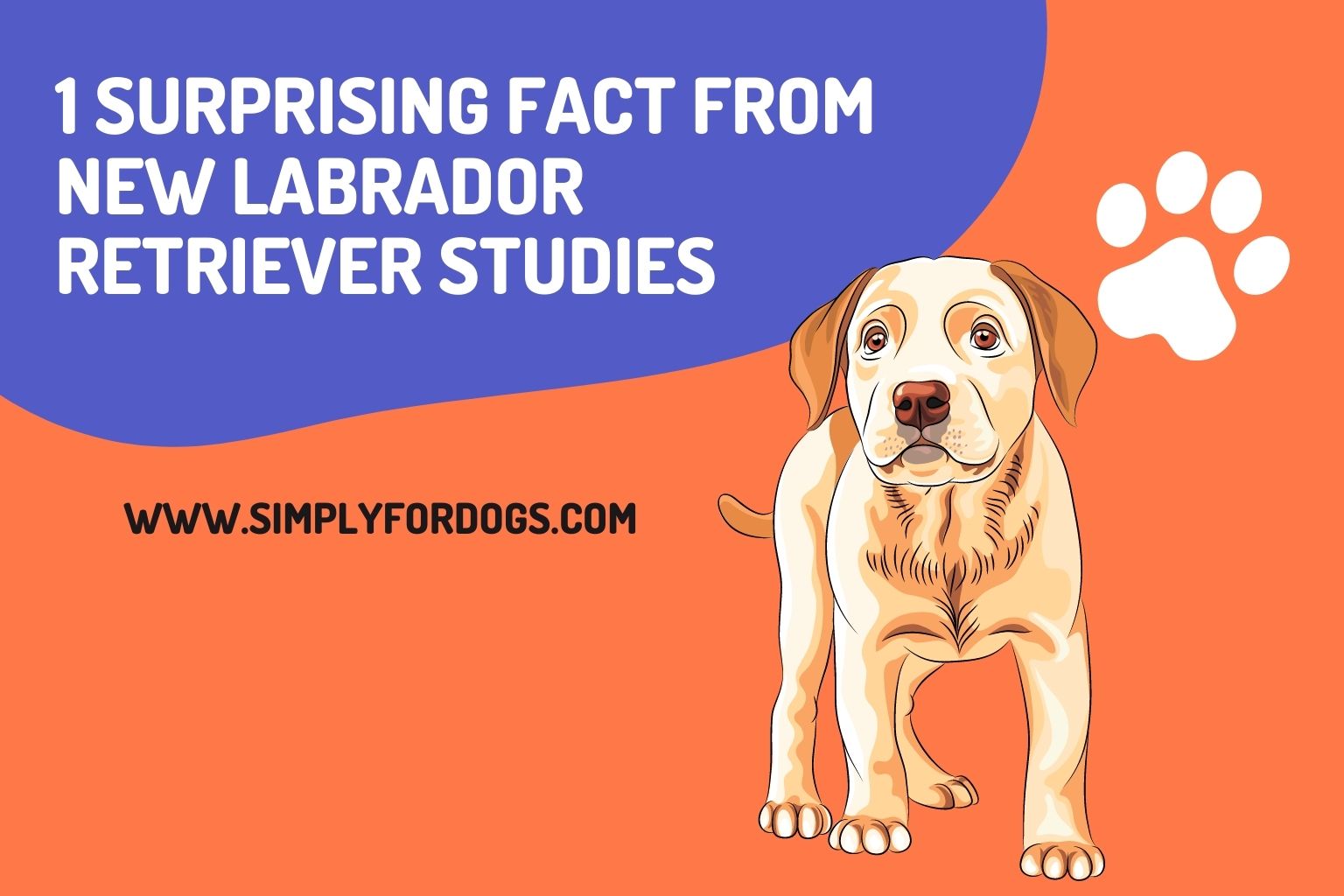 1 Surprising Fact from New Labrador Retriever Studies