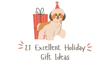 21 Excellent Holiday Gift Ideas